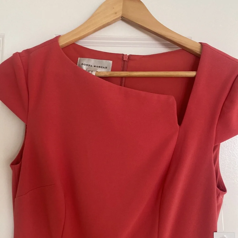 Apricot - Picture 4 of 8